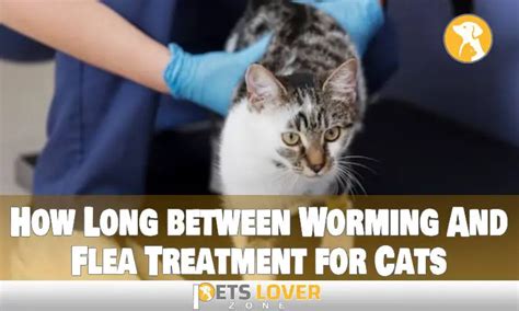 How long to wait between worming and flea treatment
